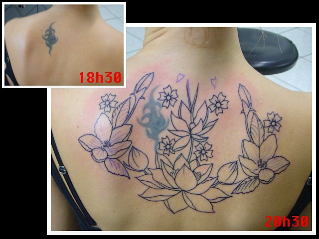 Olimpus Tatuajes de flores rosas 1. A Rapha tatuou flores nas costas.